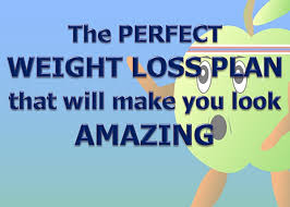 Perfect Weight loss Plan