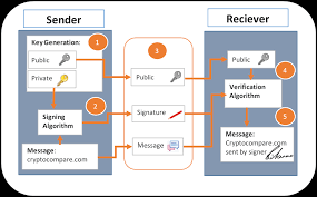 How Do Bitcoin Transactions Actually Work