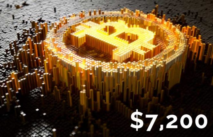 Bitcoin (BTC) Daily Price Forecast â November 14