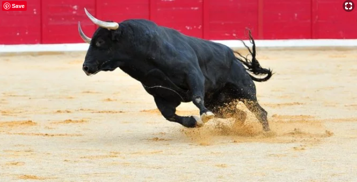 Bitcoin Bulls Unleashed as Crypto Begins Trading on Good News